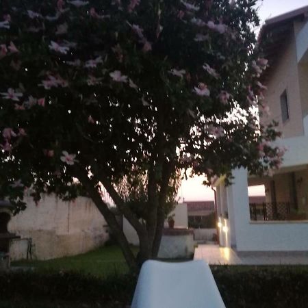 La Casa Delle Farfalle Bed & Breakfast Syracuse Ngoại thất bức ảnh