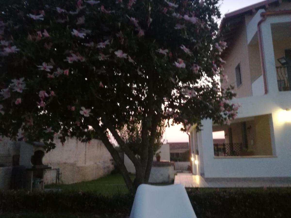 La Casa Delle Farfalle Bed & Breakfast Syracuse Ngoại thất bức ảnh